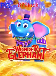 WonderElephant